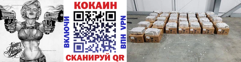 где можно купить   Горбатов  Cocaine 98% 