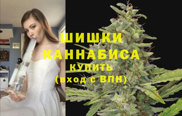 мяу мяу мука Горняк